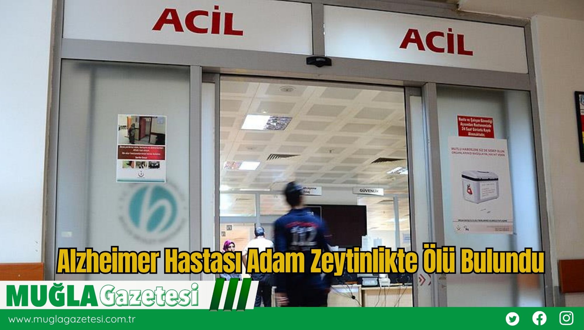 Alzheimer Hastası Adam Zeytinlikte Ölü Bulundu