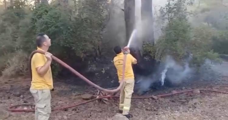 Marmaris'te Orman Yangını