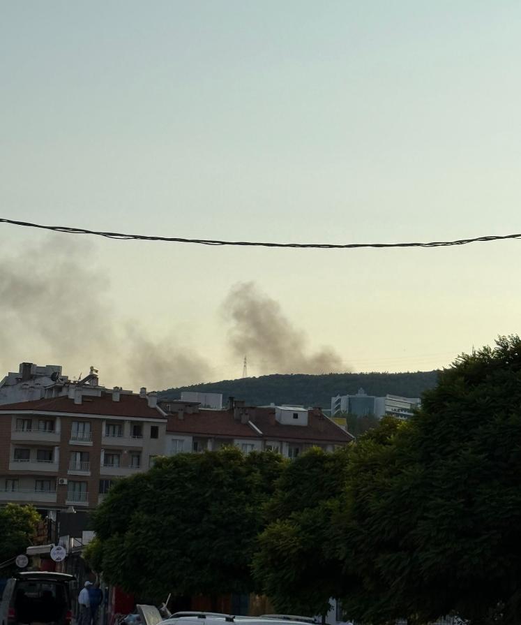Menteşe’de Yangın Paniği