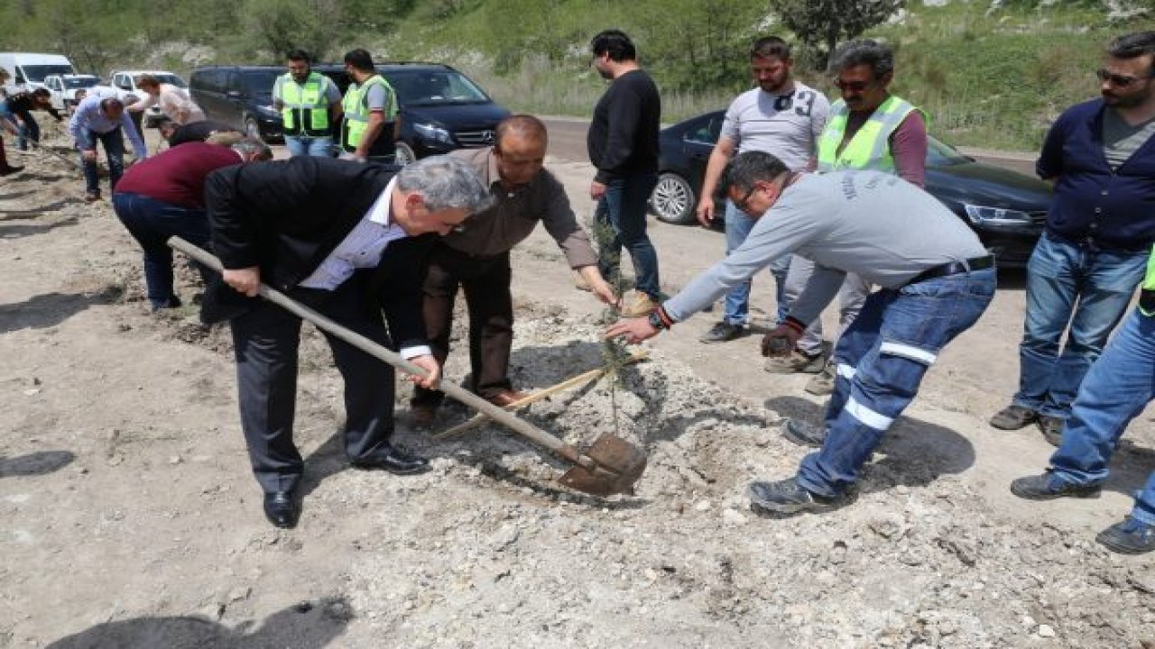Maden sahasına 2 ayda 91 bin 200 fidan dikildi