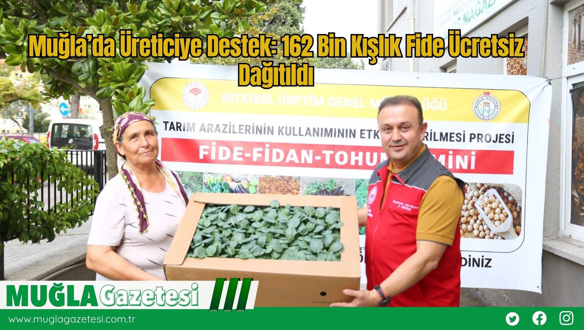 Muğla’da Üreticiye Destek: 162 Bin Kışlık Fide Ücretsiz Dağıtıldı