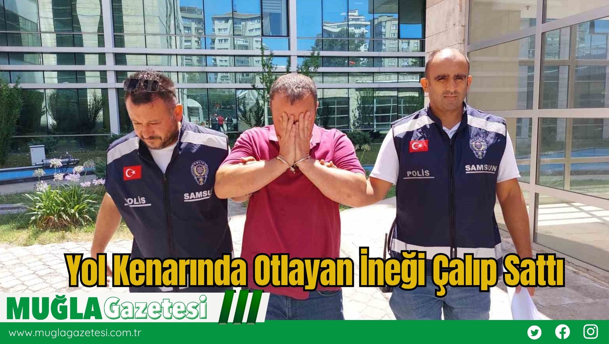 Yol Kenarında Otlayan İneği Çalıp Sattı