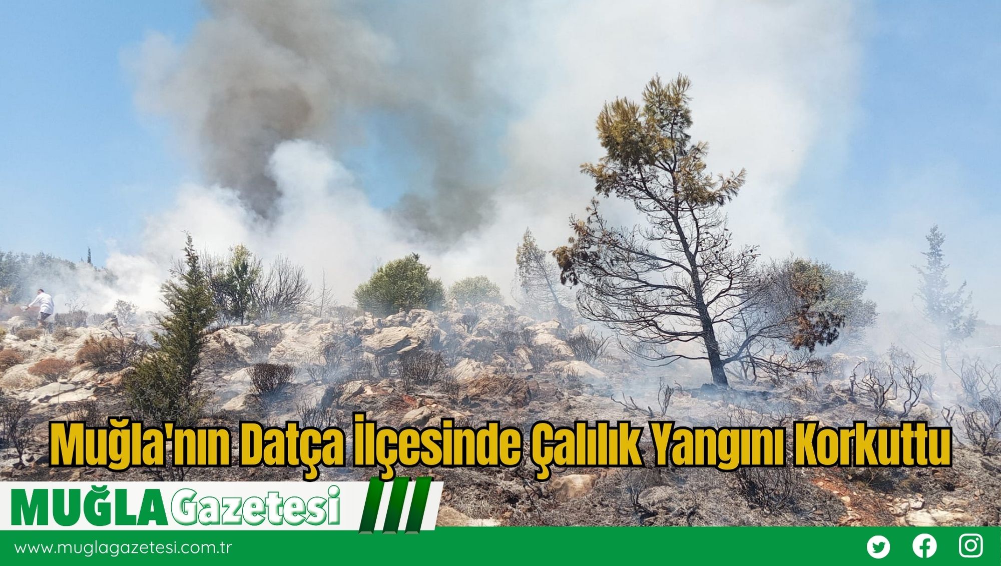 Muğla'nın Datça İlçesinde Çalılık Yangını Korkuttu