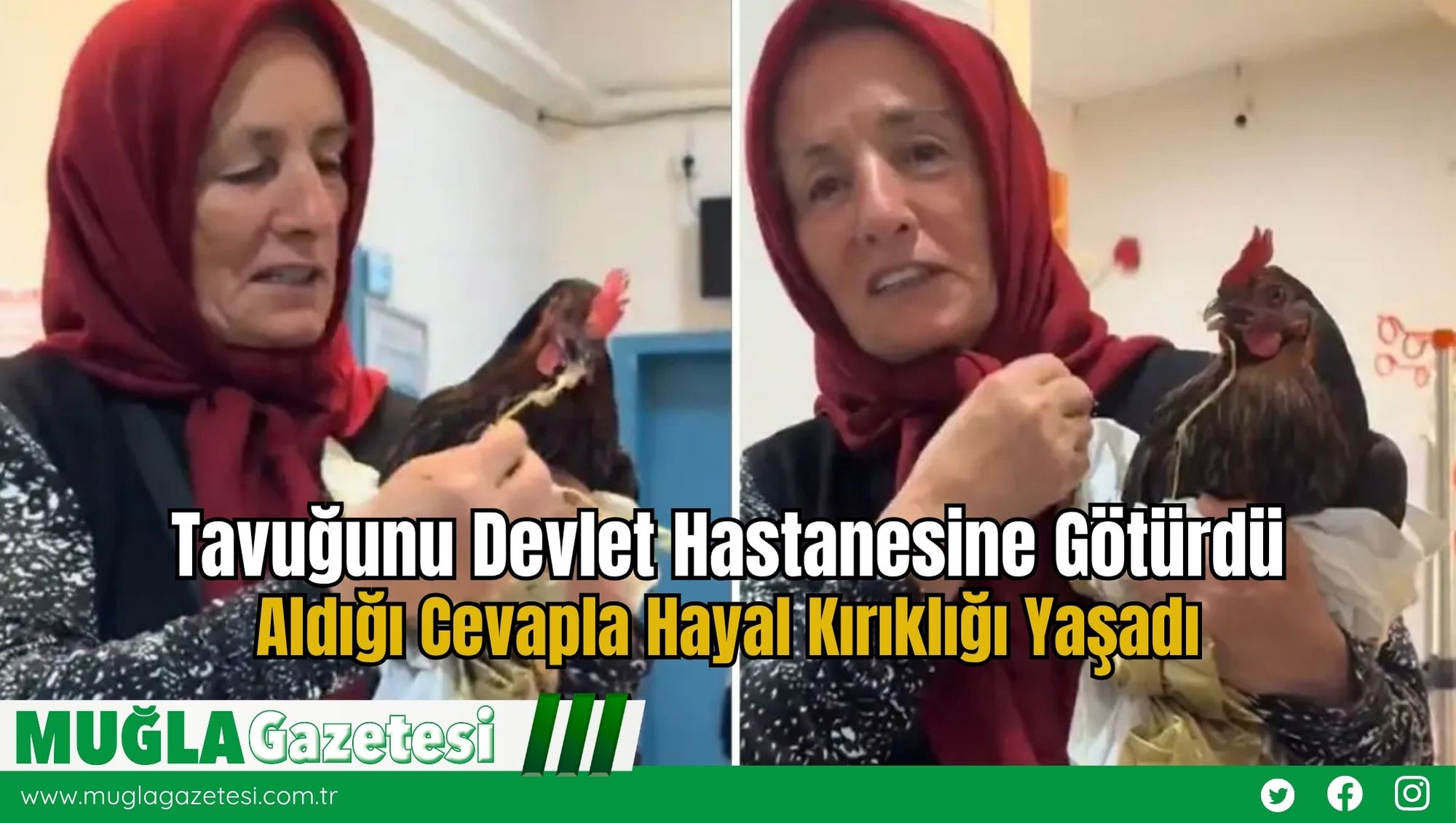 Tavuğunu Devlet Hastanesine Götürdü, Aldığı Cevapla Hayal Kırıklığı Yaşadı