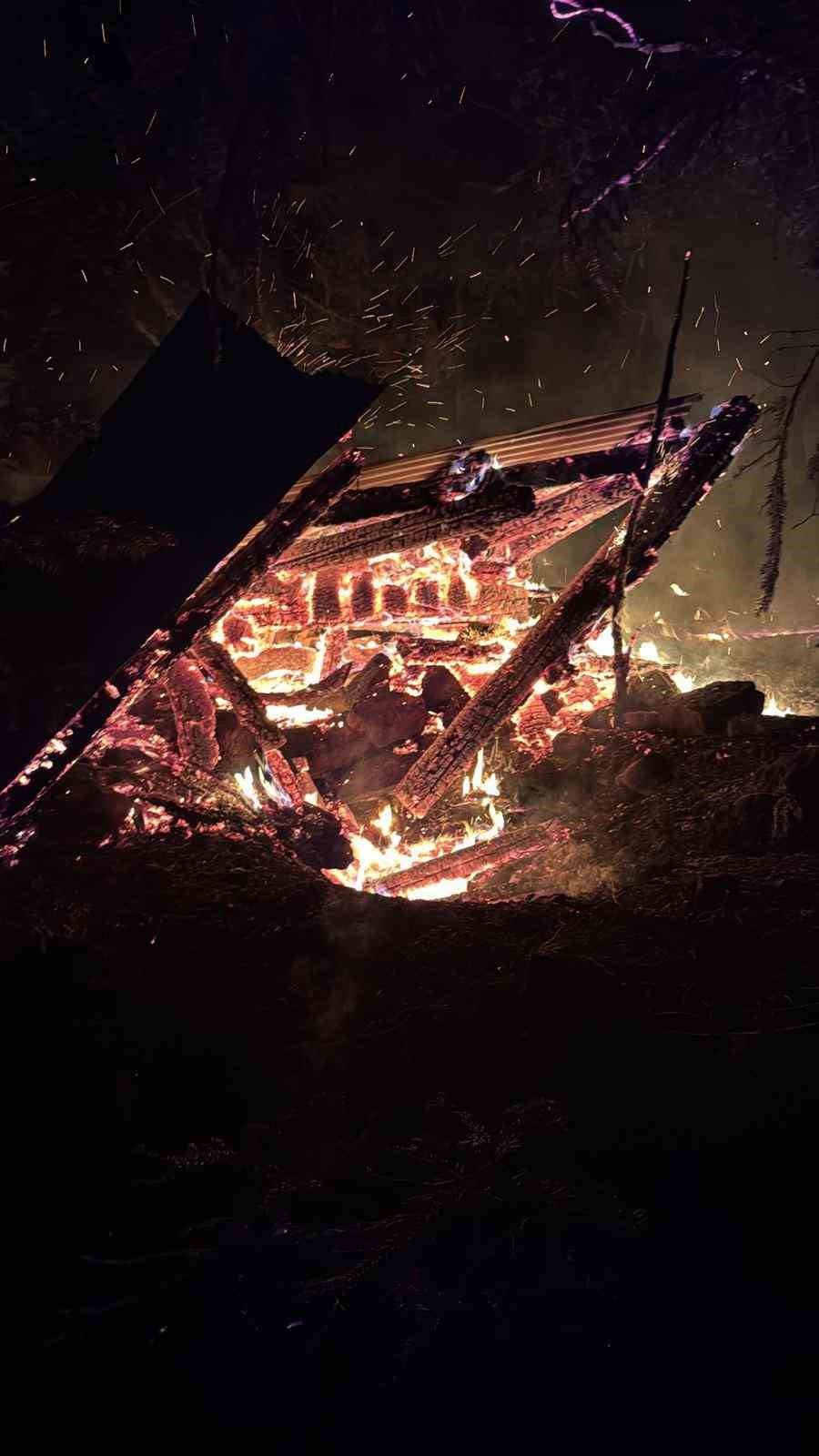 Türbede Başlayan Yangın Ormanı Tehdit Etti