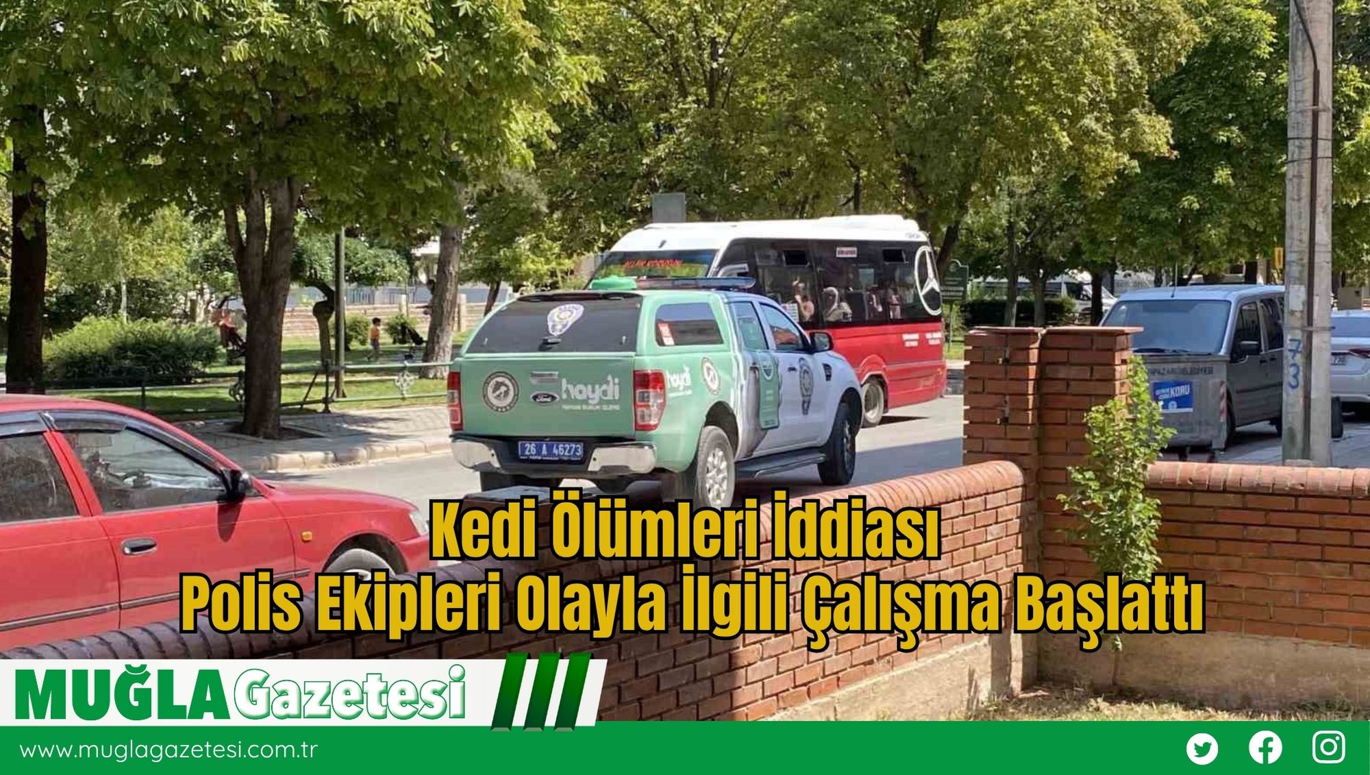 Kedi Ölümleri İddiası: Polis Ekipleri Olayla İlgili Çalışma Başlattı