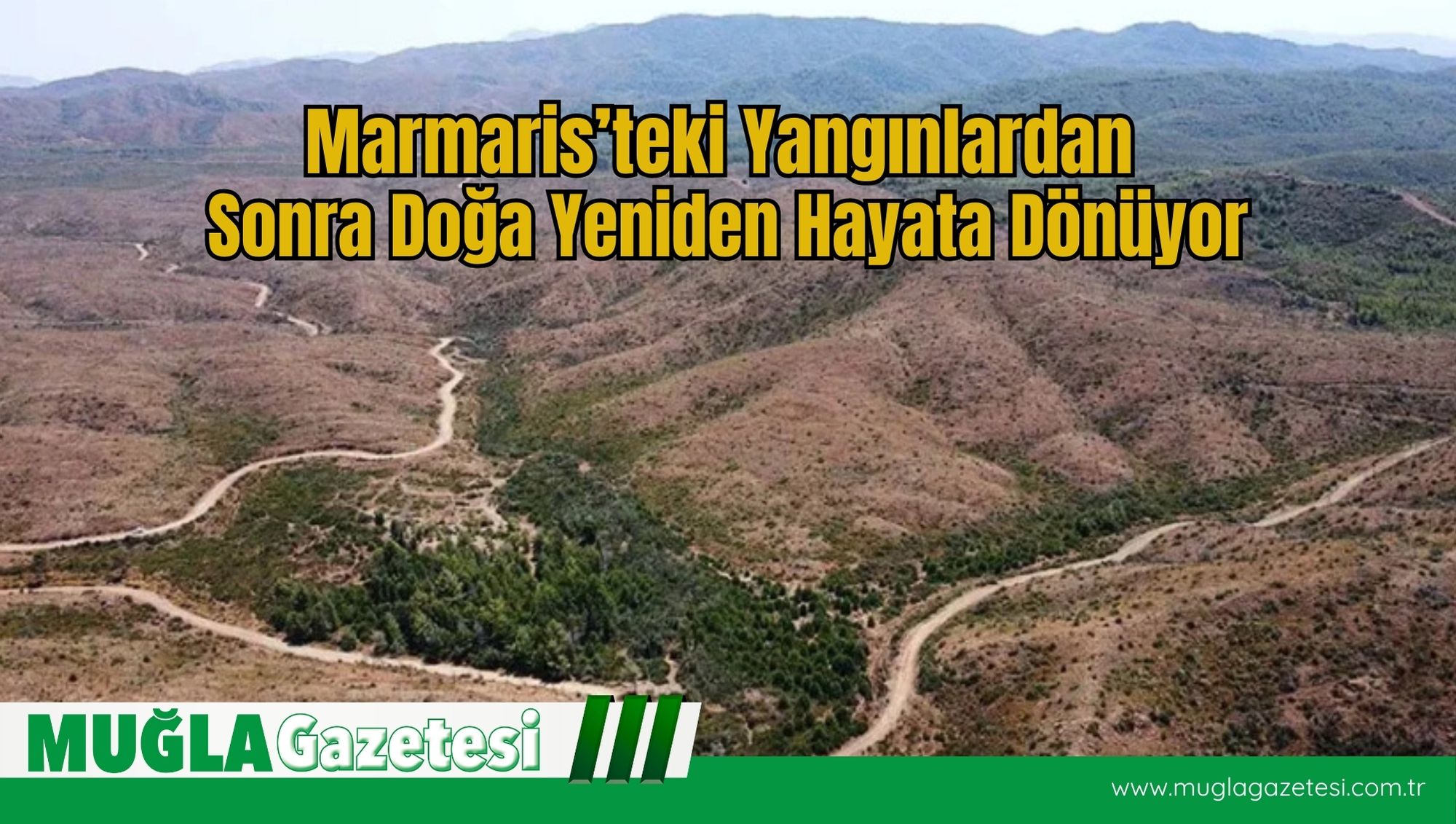 Marmaris’teki Yangınlardan Sonra Doğa Yeniden Hayata Dönüyor