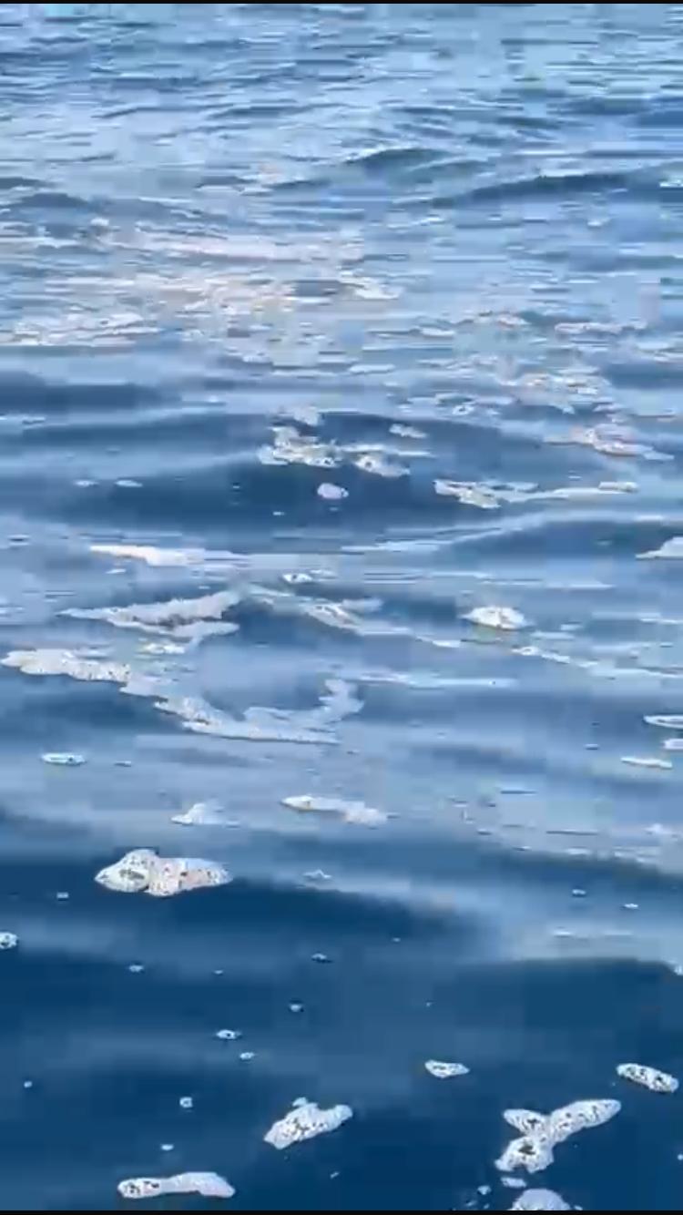 Bodrum'da Denizde Kirlilik Şoku: Lüks Yatlardan Denize Atık Bırakıldı