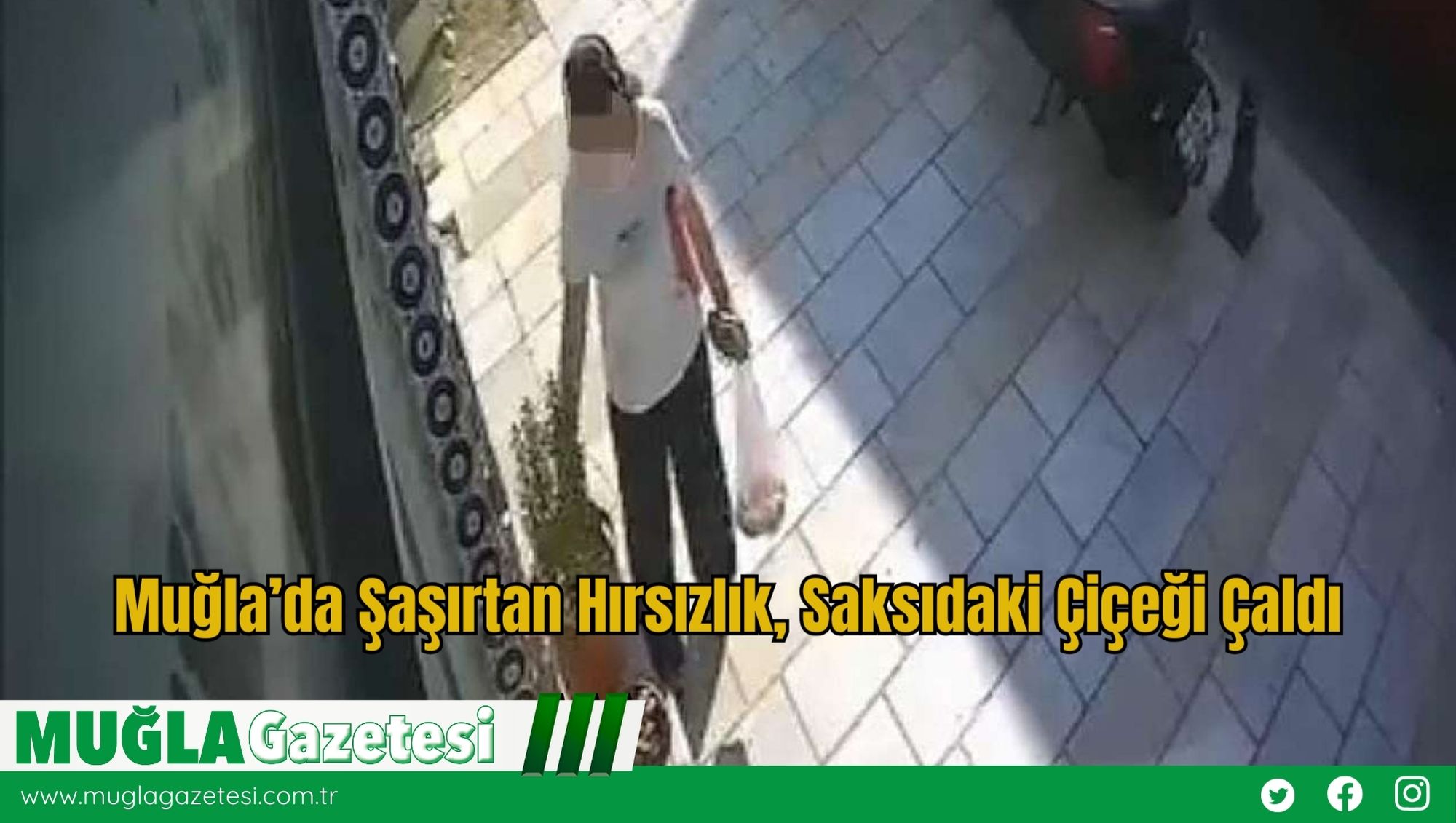 Muğla’da Şaşırtan Hırsızlık, Saksıdaki Çiçeği Çaldı