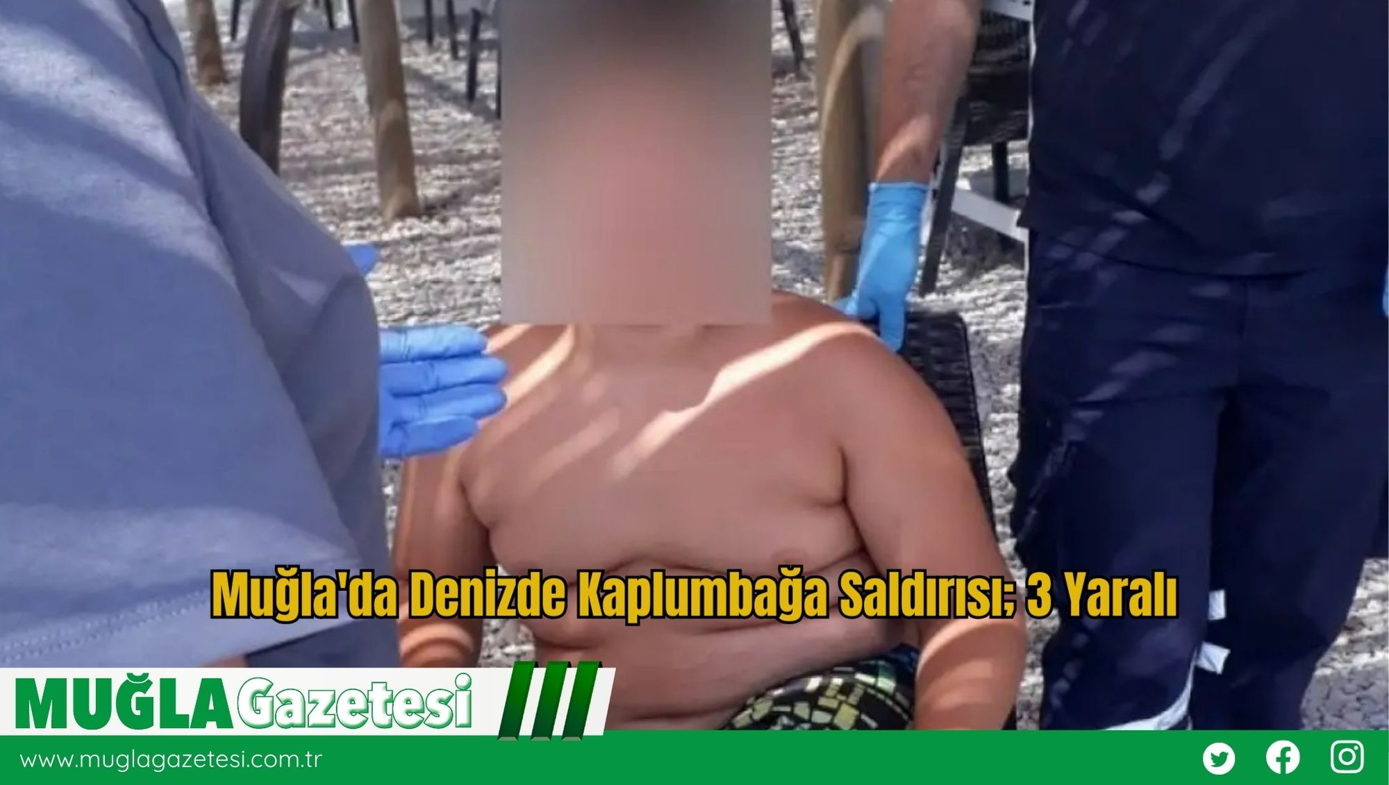 Muğla'da Denizde Kaplumbağa Saldırısı; 3 Yaralı