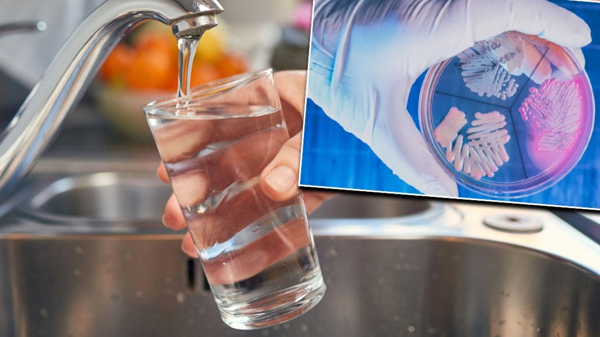 Marmara, Ege ve Akdeniz’de Kolera Riski: Vibrio Bakterisi Tespit Edildi