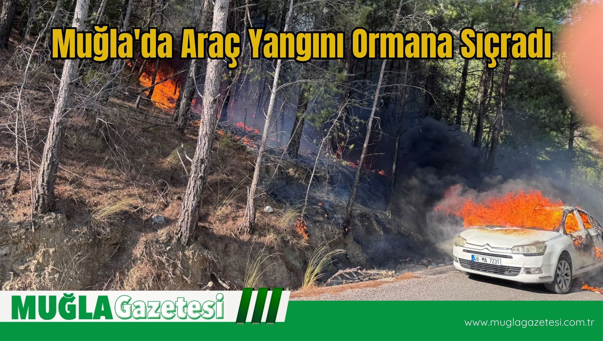 Muğla'da Araç Yangını Ormana Sıçradı