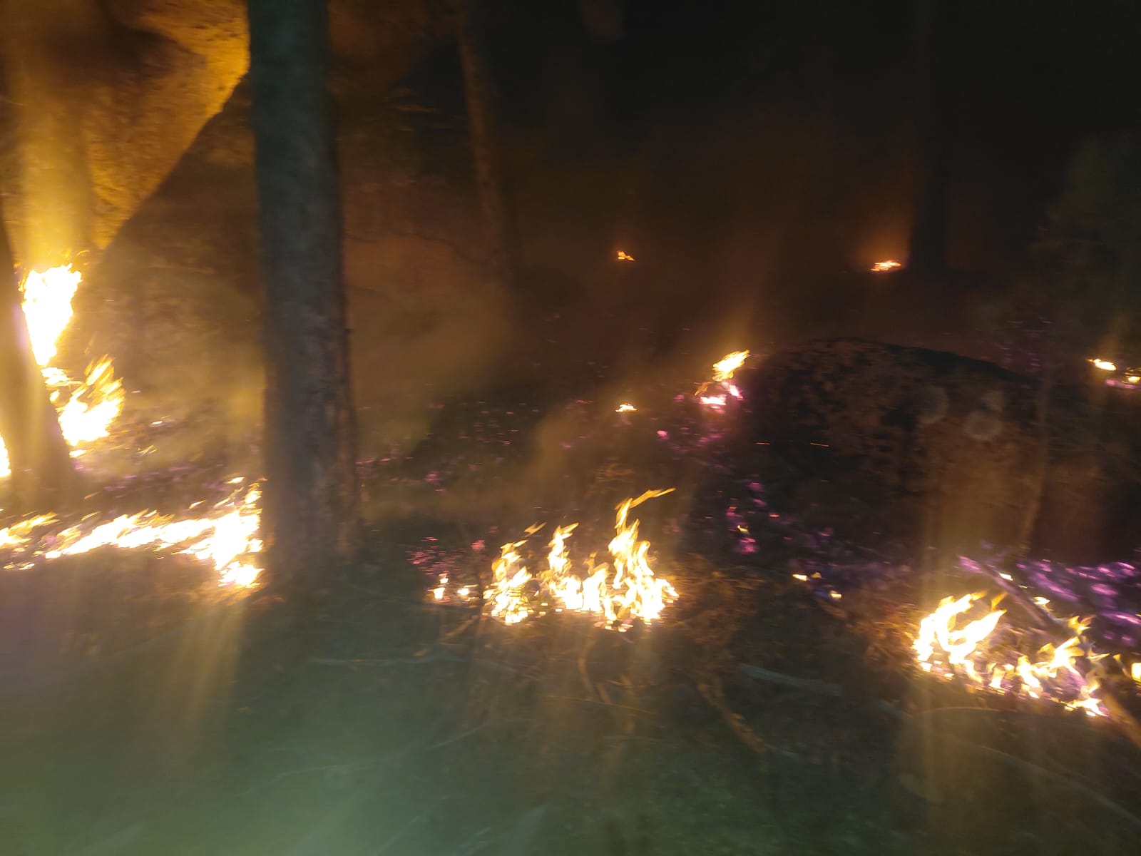 Yatağan'da Orman Yangını Başladı