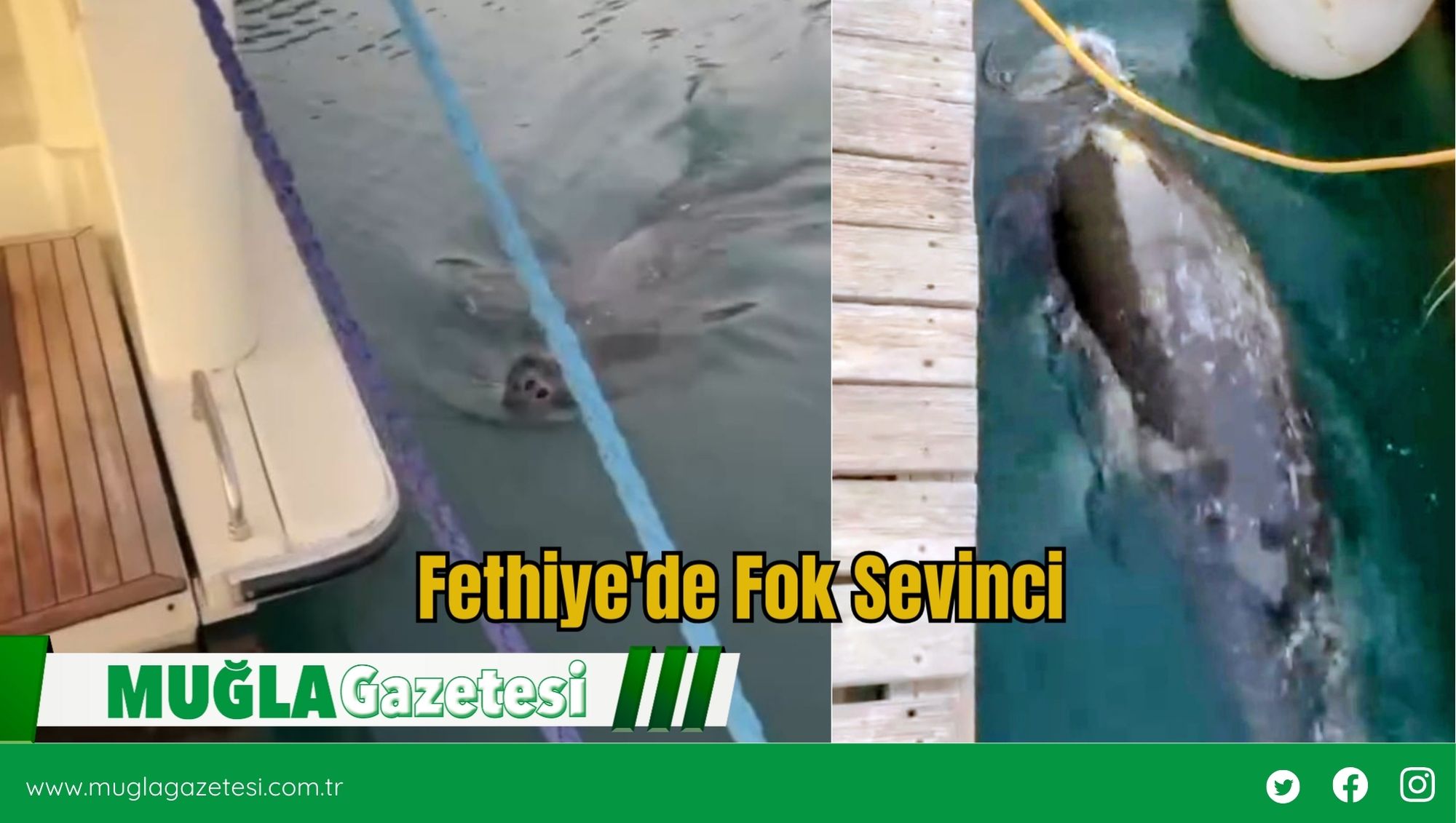 Fethiye'de Fok Sevinci
