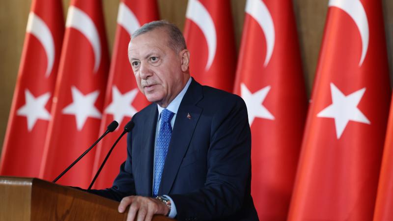 Cumhurbaşkanı Erdoğan'dan Yangın Açıklaması: Türkiye Parmakla Gösterilen Bir Ülke Konumunda
