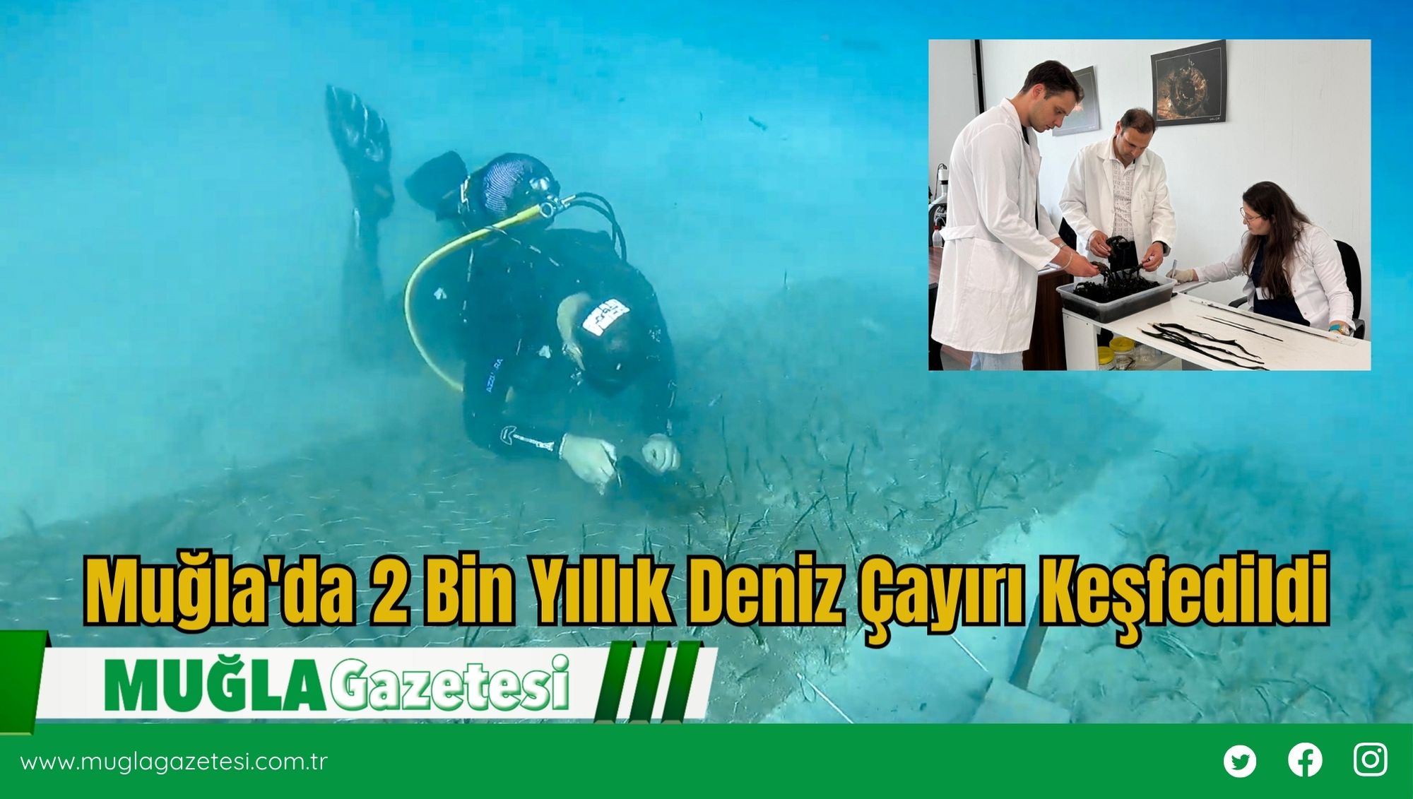 Muğla'da 2 Bin Yıllık Deniz Çayırı Keşfedildi