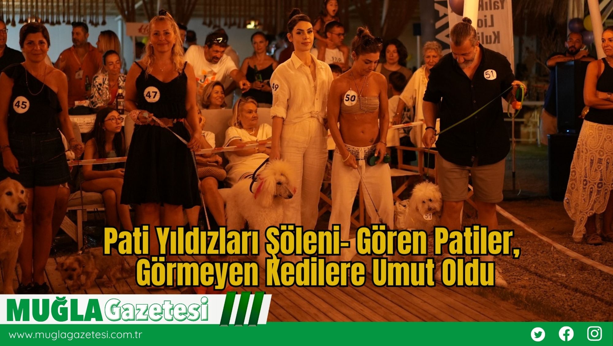 Pati Yıldızları Şöleni– Gören Patiler, Görmeyen Kedilere Umut Oldu