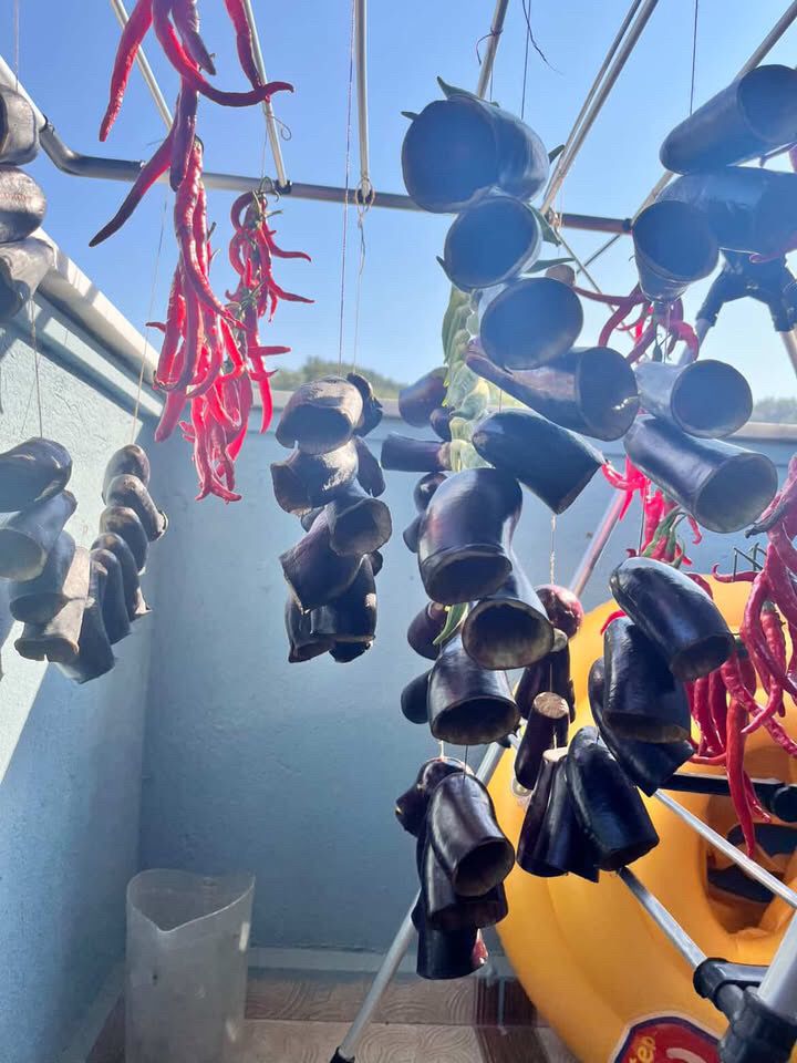 Muğla'da Sebzeler Yazın Balkonları, Kışın Sofraları Süslüyor