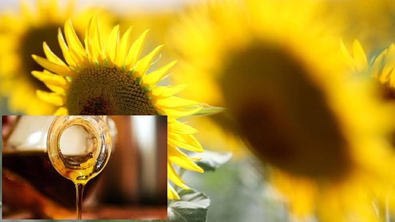 Ayçiçek Yağında Vergiler Artıyor: İşte Yeni Oranlar