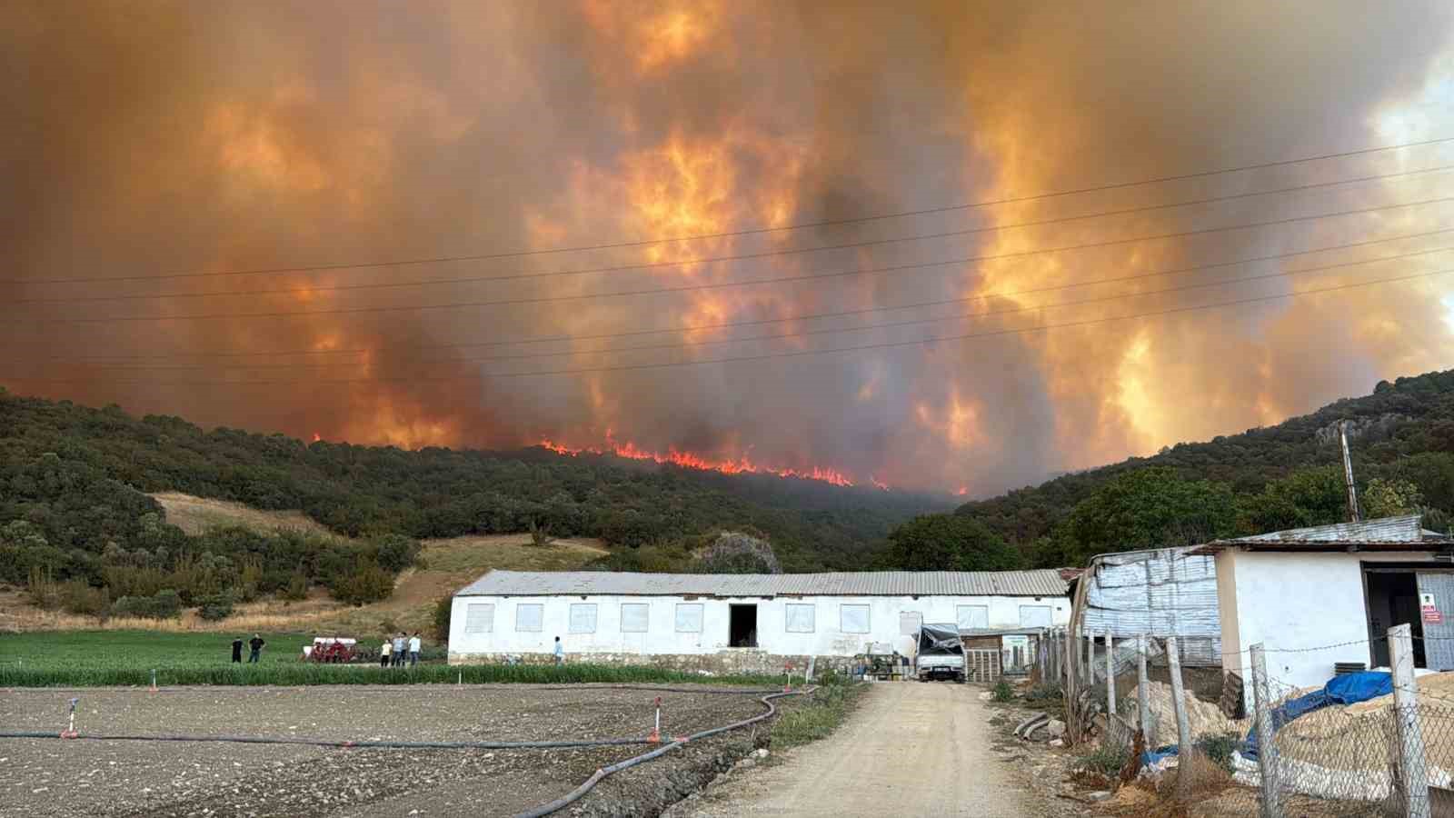 Yenişehir’de Orman Yangını Büyüyor: Alevler Hayvan Çiftliklerine Yaklaştı, Yol Trafiğe Kapandı