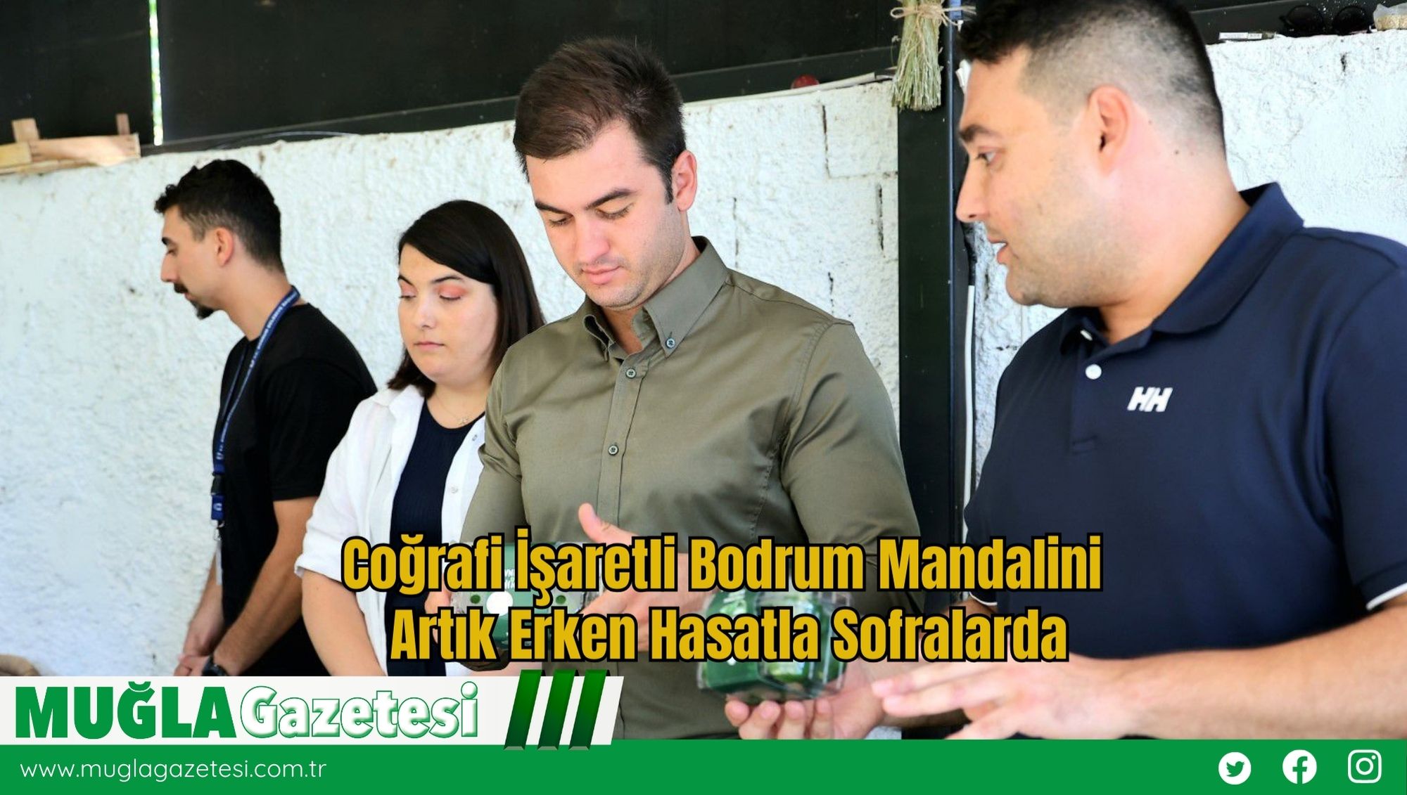 Coğrafi İşaretli Bodrum Mandalini Artık Erken Hasatla Sofralarda