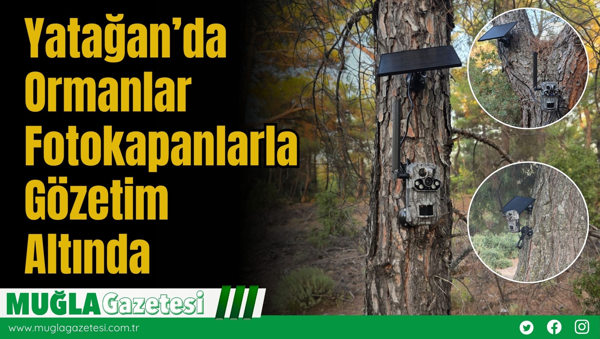 Yatağan’da Ormanlar Fotokapanlarla Gözetim Altında