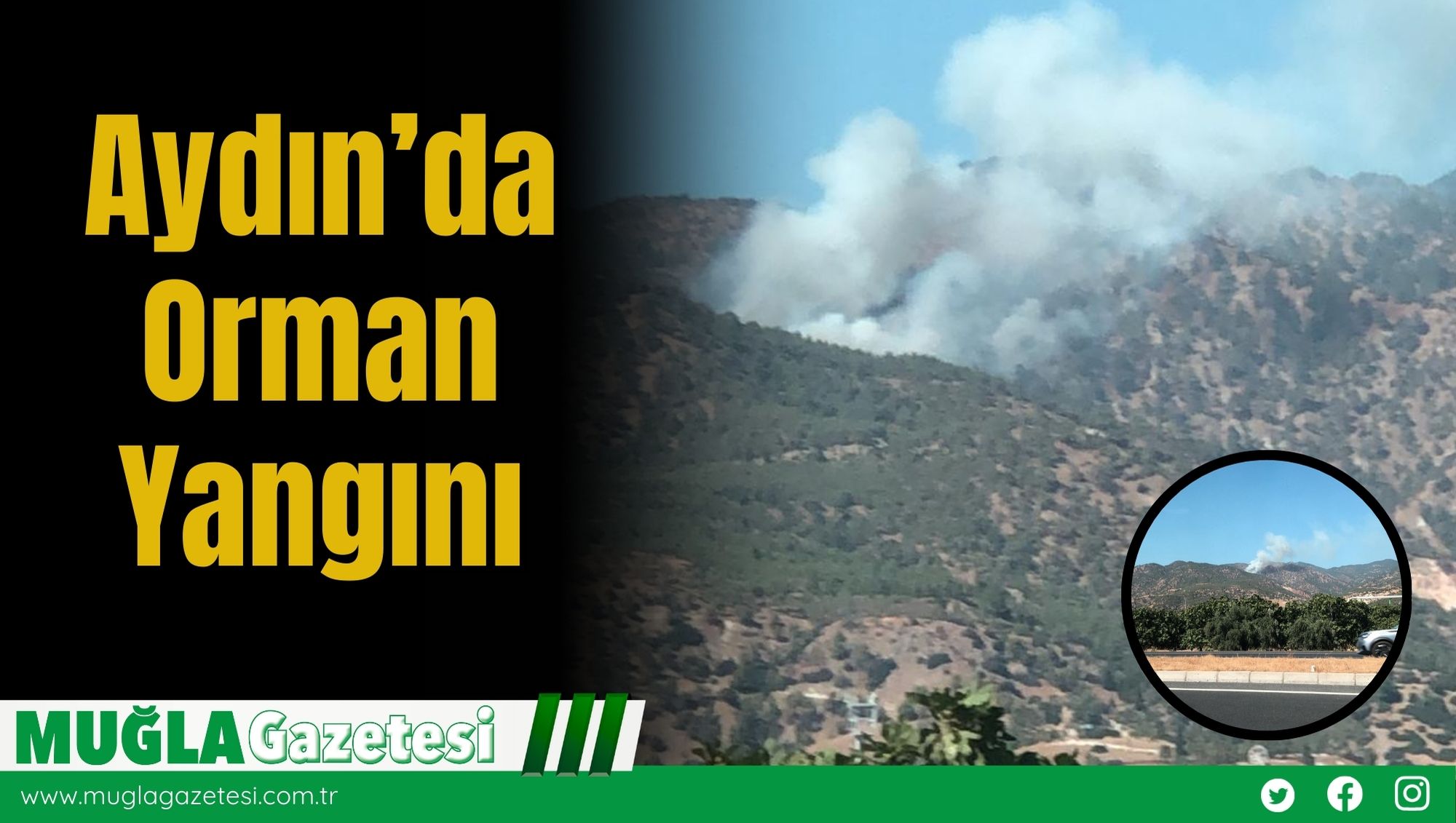 Aydın’da Orman Yangını