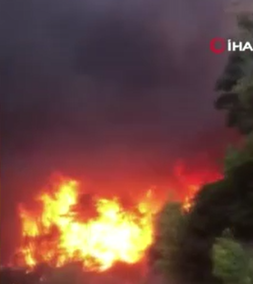 Denizli’nin Buldan İlçesinde Korkutan Orman Yangını!
