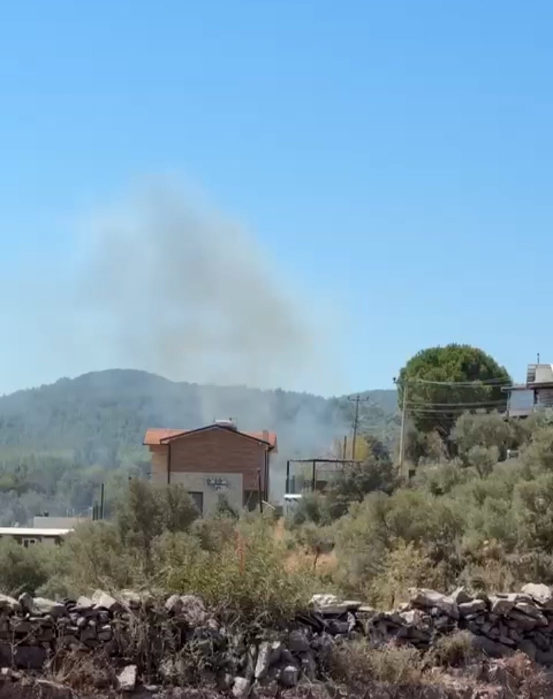 Milas’ta Panik Yaratan Yangın Kontrol Altına Alındı