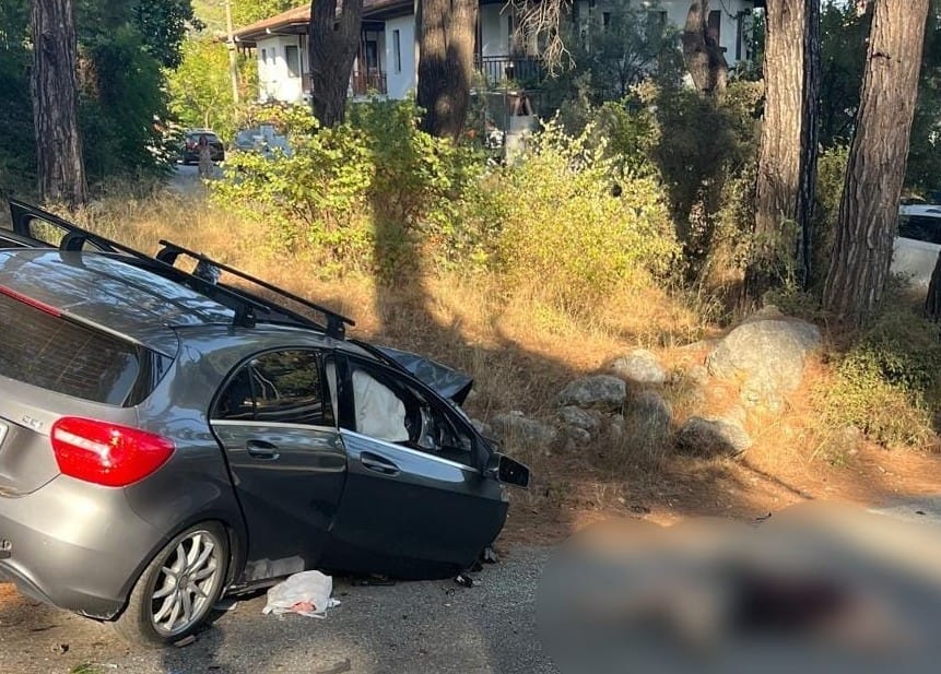 Muğla'da Feci Kaza: Çam Ağacına Çarpan Kadın Hayatını Kaybetti