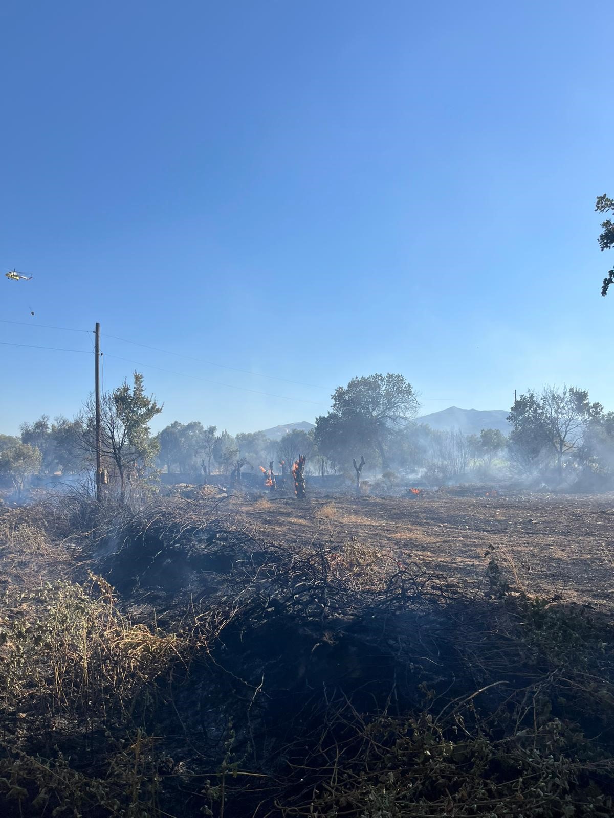 Yatağan'da Tarlada Çıkan Yangın Hızlı Müdahale ile Söndürüldü
