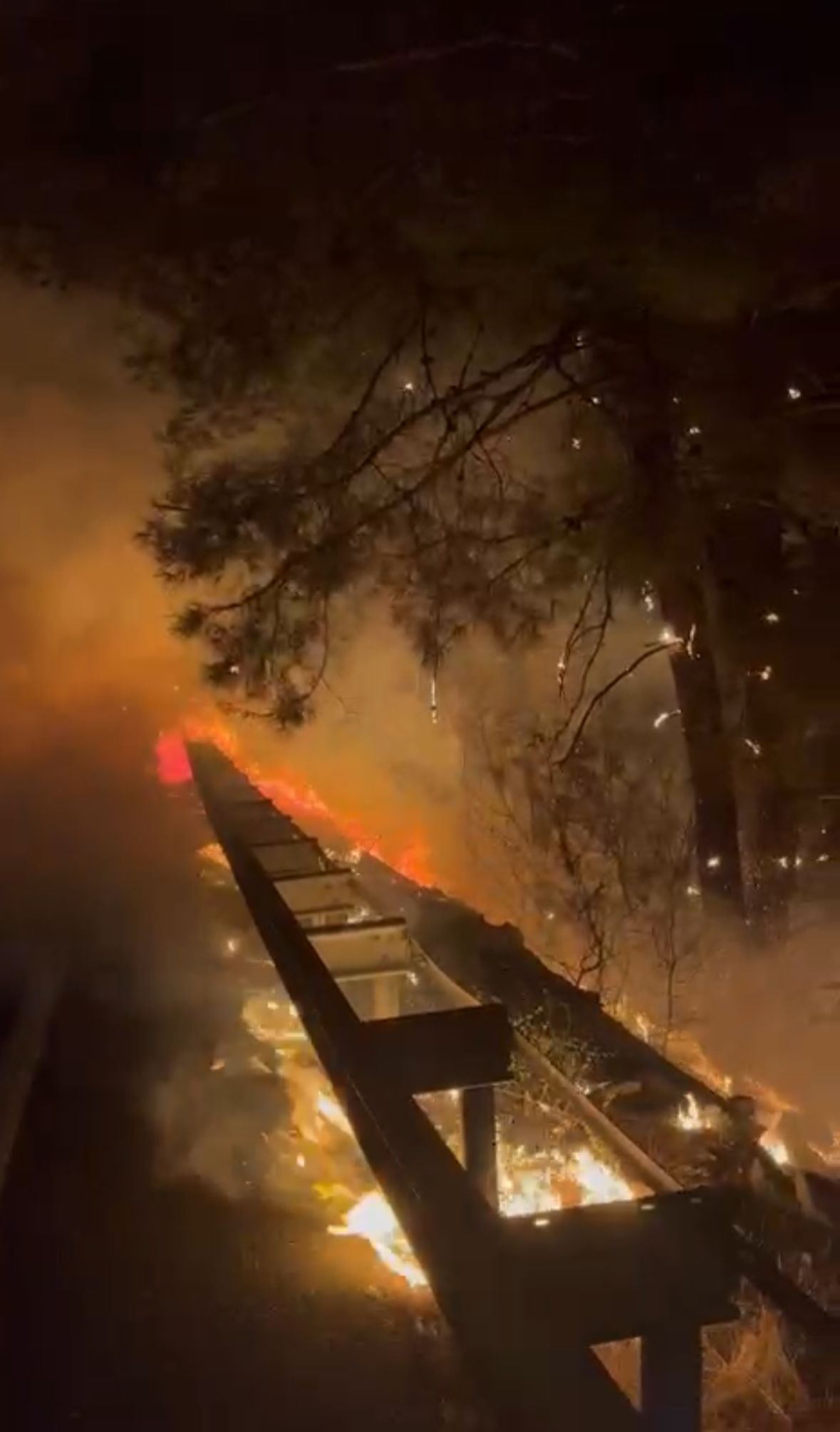 Muğla Sakar Geçidinde Orman Yangını