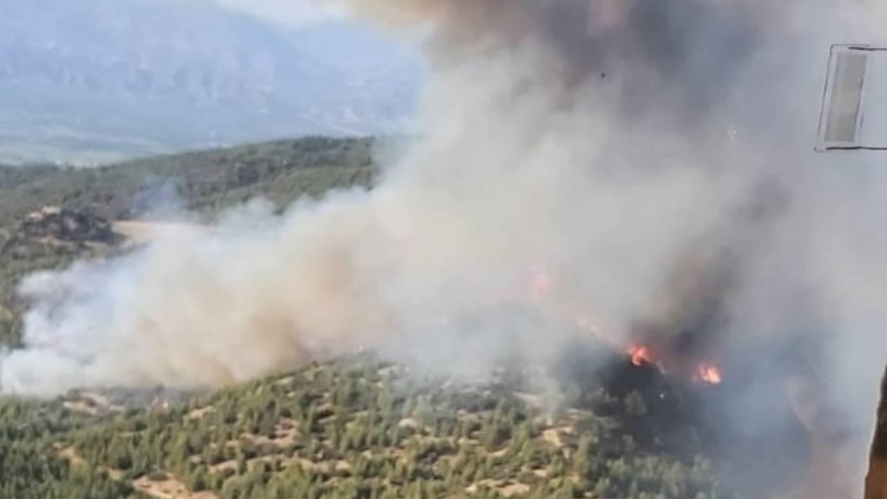 Aydın Söke'de Yangın