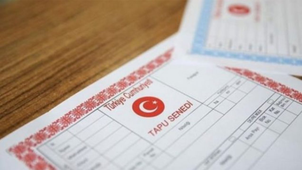 Tapuda devrim gibi yenilik