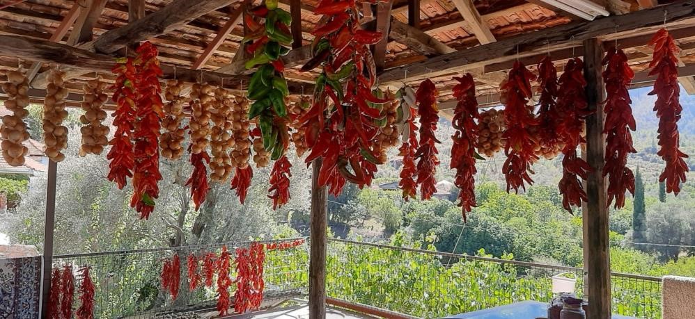 Kışa Hazırlık Muğla’da Renkli Anlara Sahne Oldu