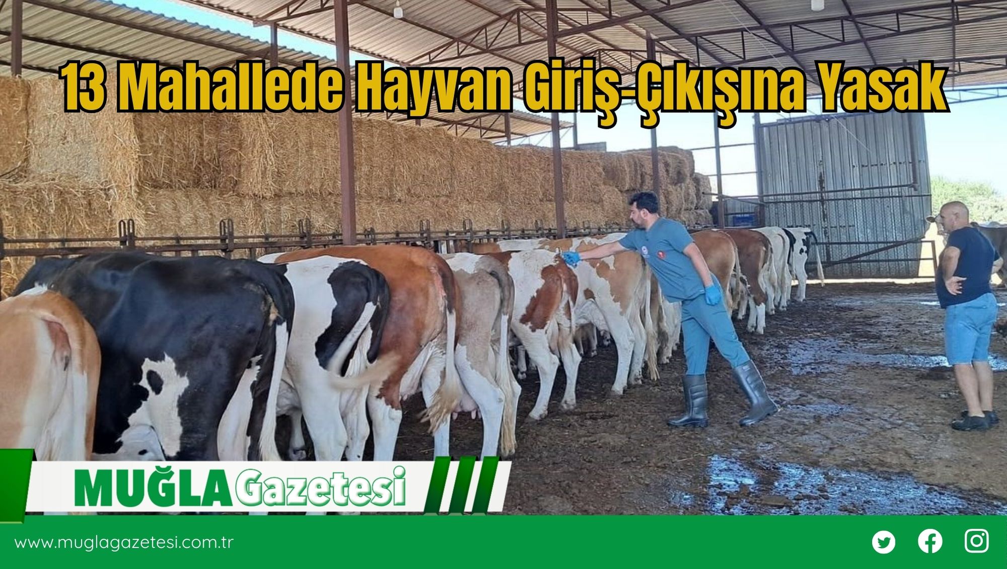 13 Mahallede Hayvan Giriş-Çıkışına Yasak