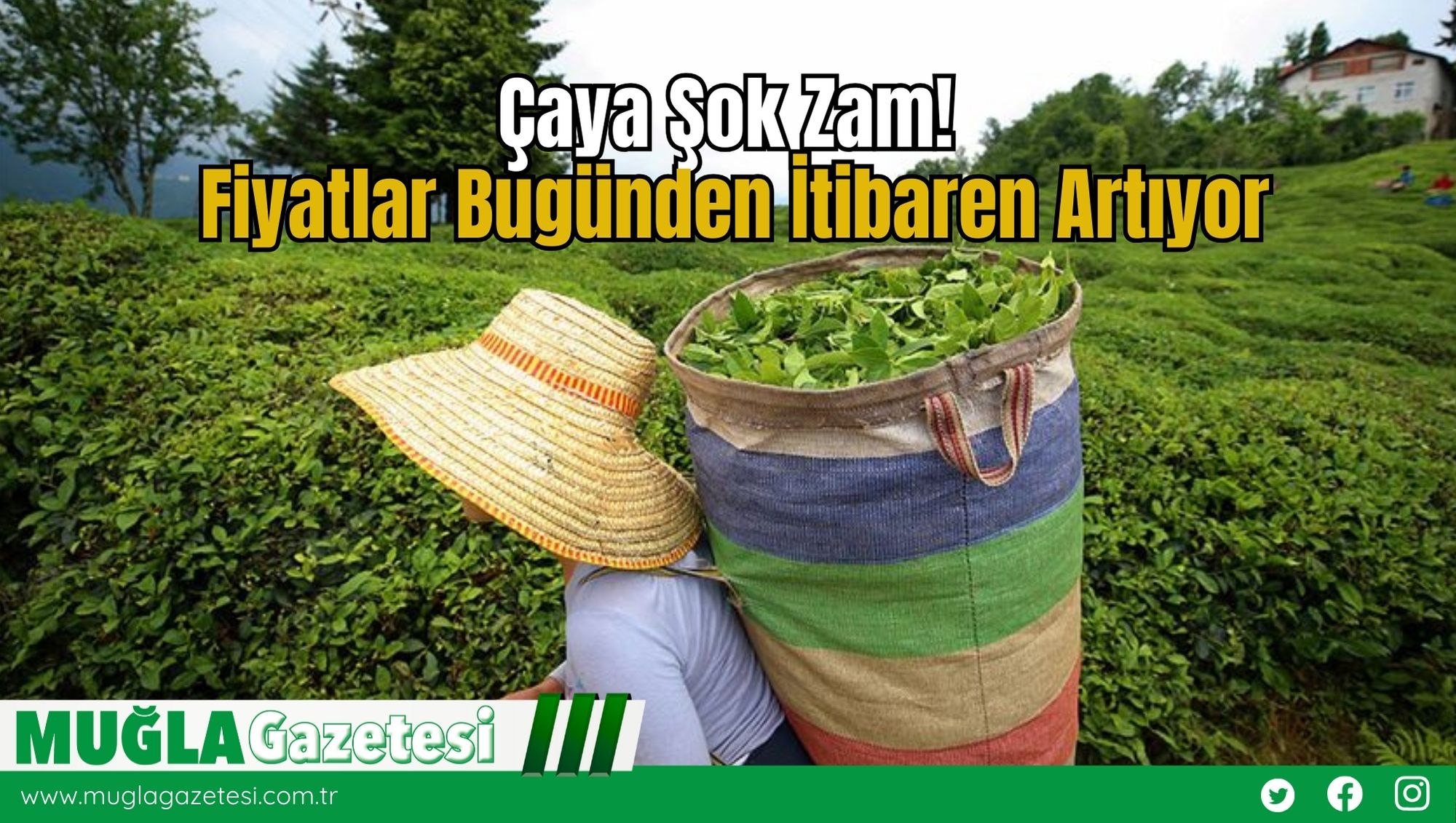 Çaya Şok Zam! Fiyatlar Bugünden İtibaren Artıyor