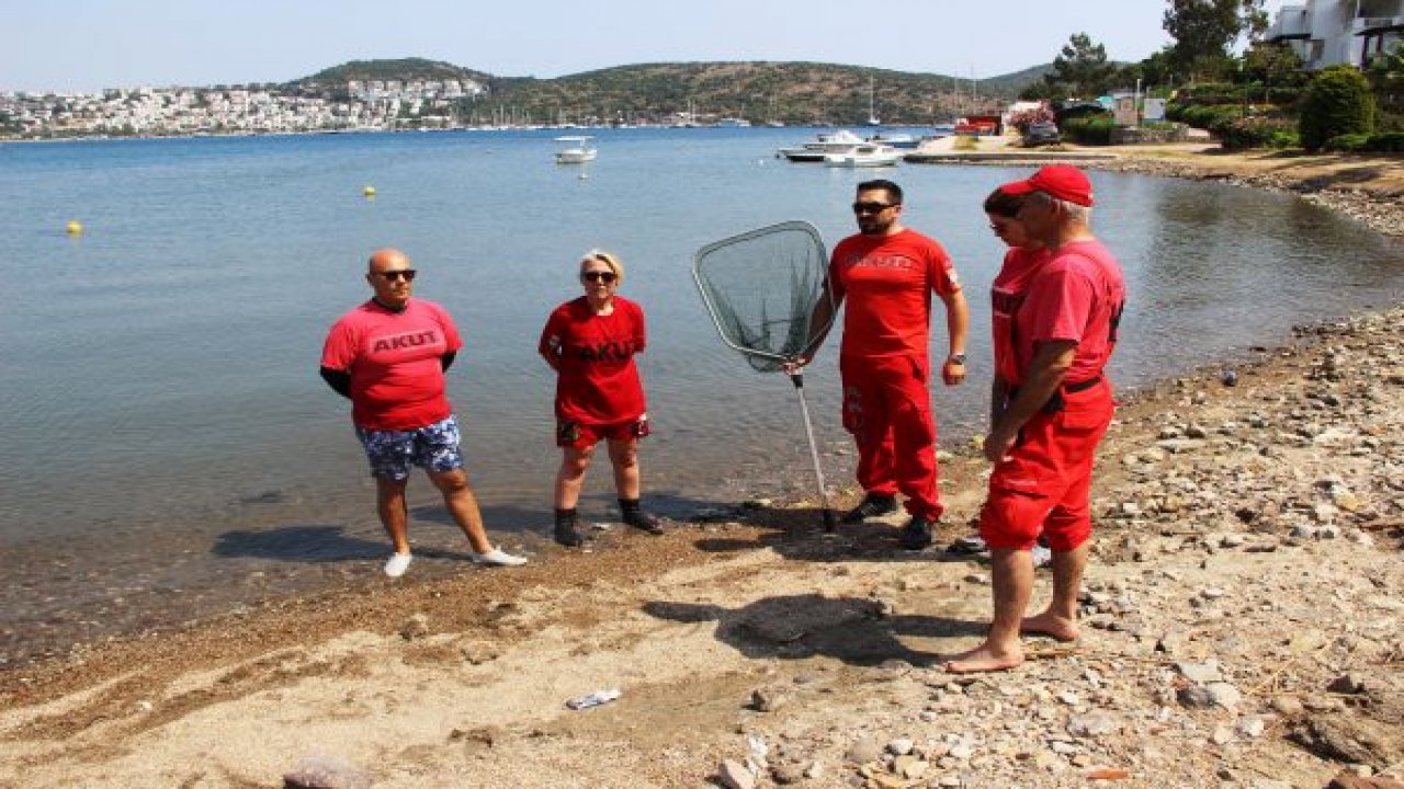 Siyah kuğunun sırrını çözmek için çalışmalar sürüyor