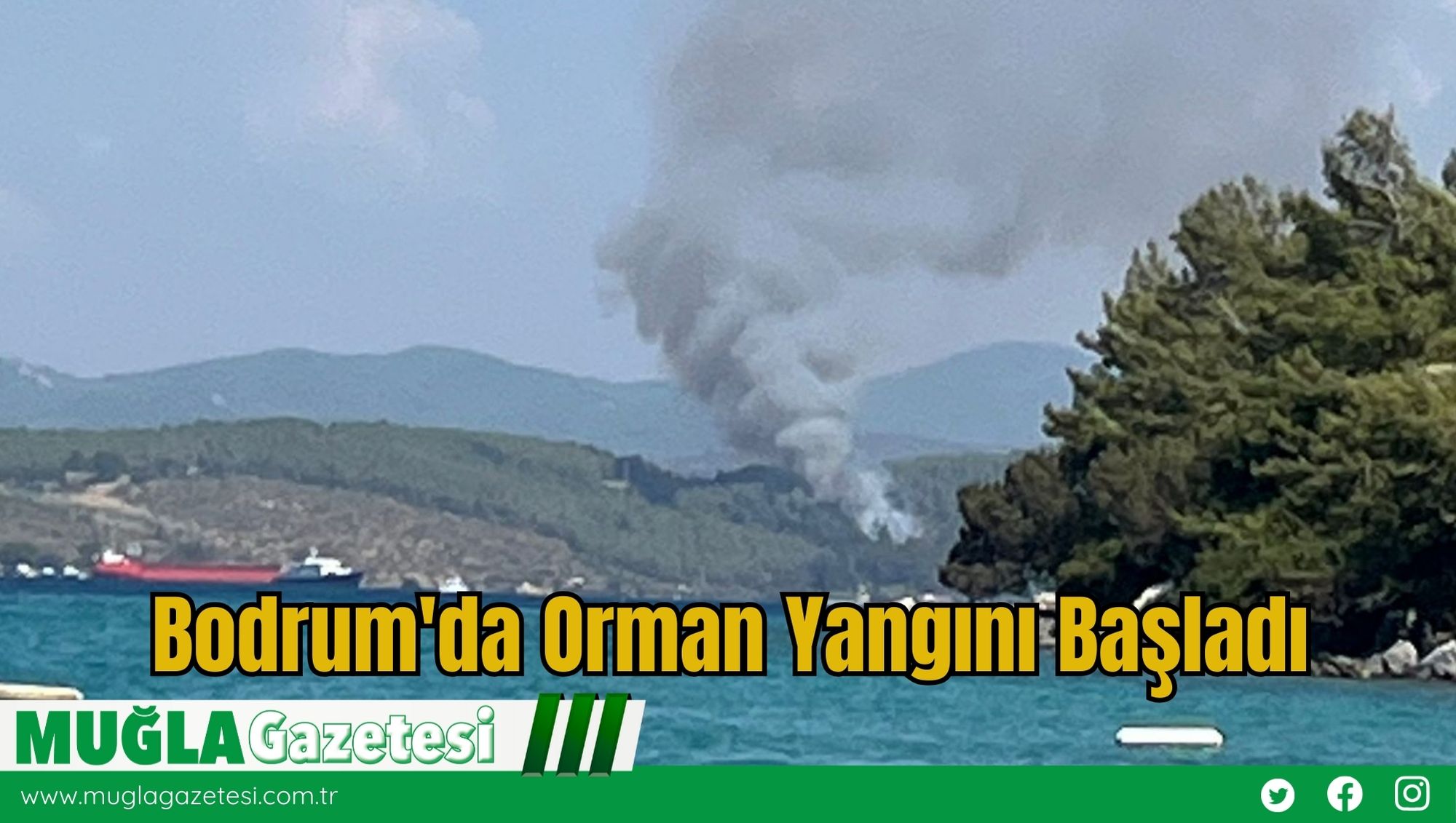 Bodrum'da Orman Yangını Başladı