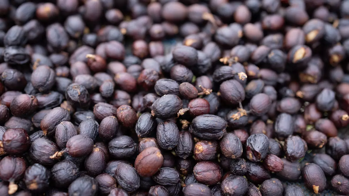 Kırışıklıklara Doğal Çözüm: Cildi 10 Yaş Gençleştiriyor