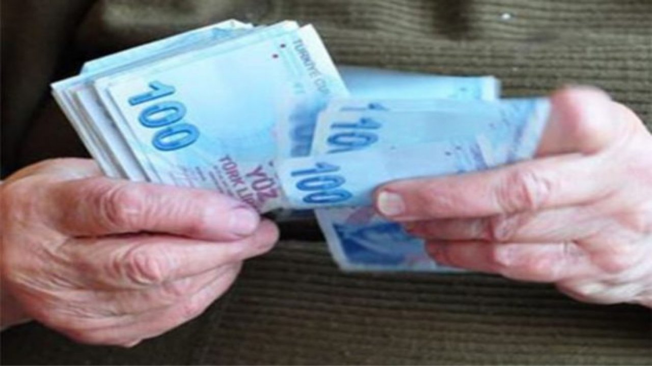 Emeklinin gelirini artıracak  formül