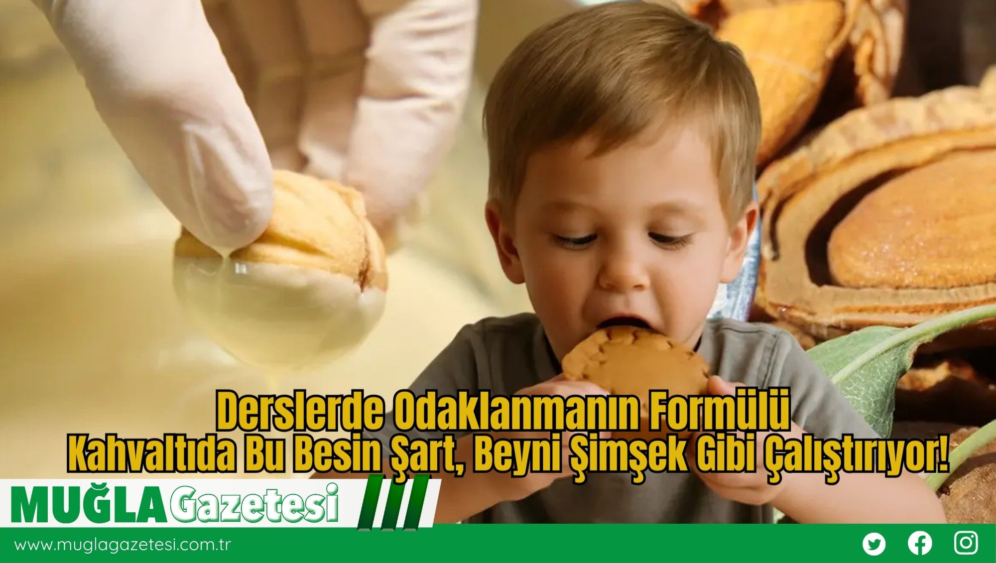 Derslerde Odaklanmanın Formülü: Kahvaltıda Bu Besin Şart, Beyni Şimşek Gibi Çalıştırıyor