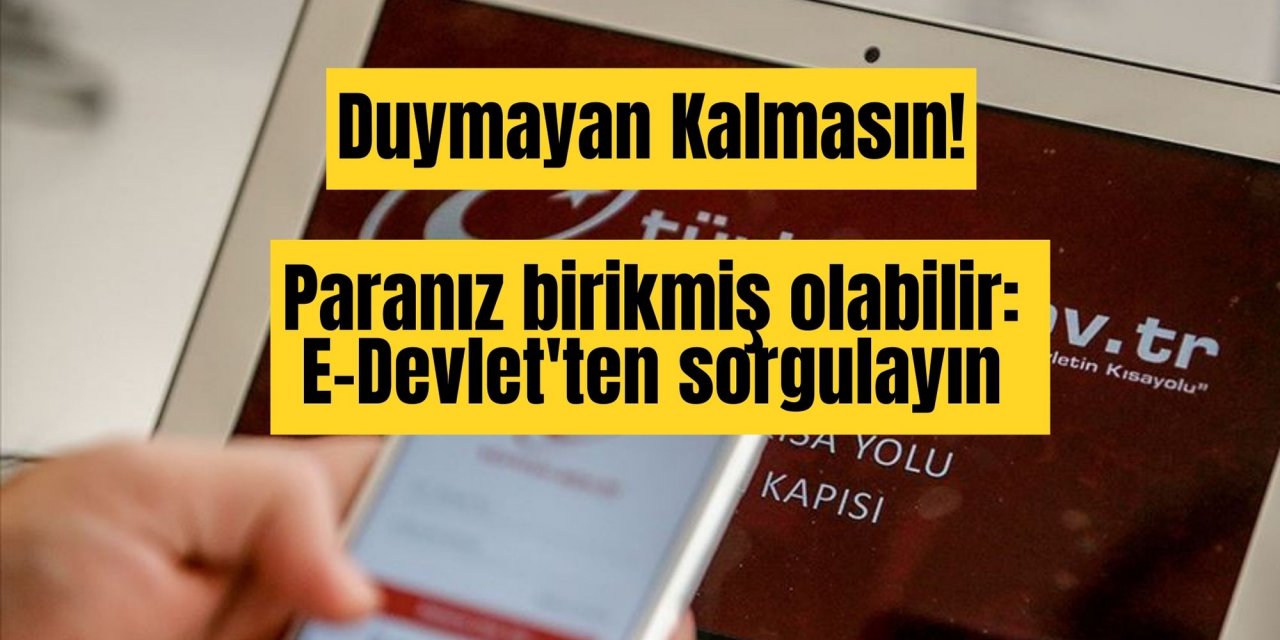 Duymayan Kalmasın! Paranız birikmiş olabilir: E-Devlet'ten sorgulayın