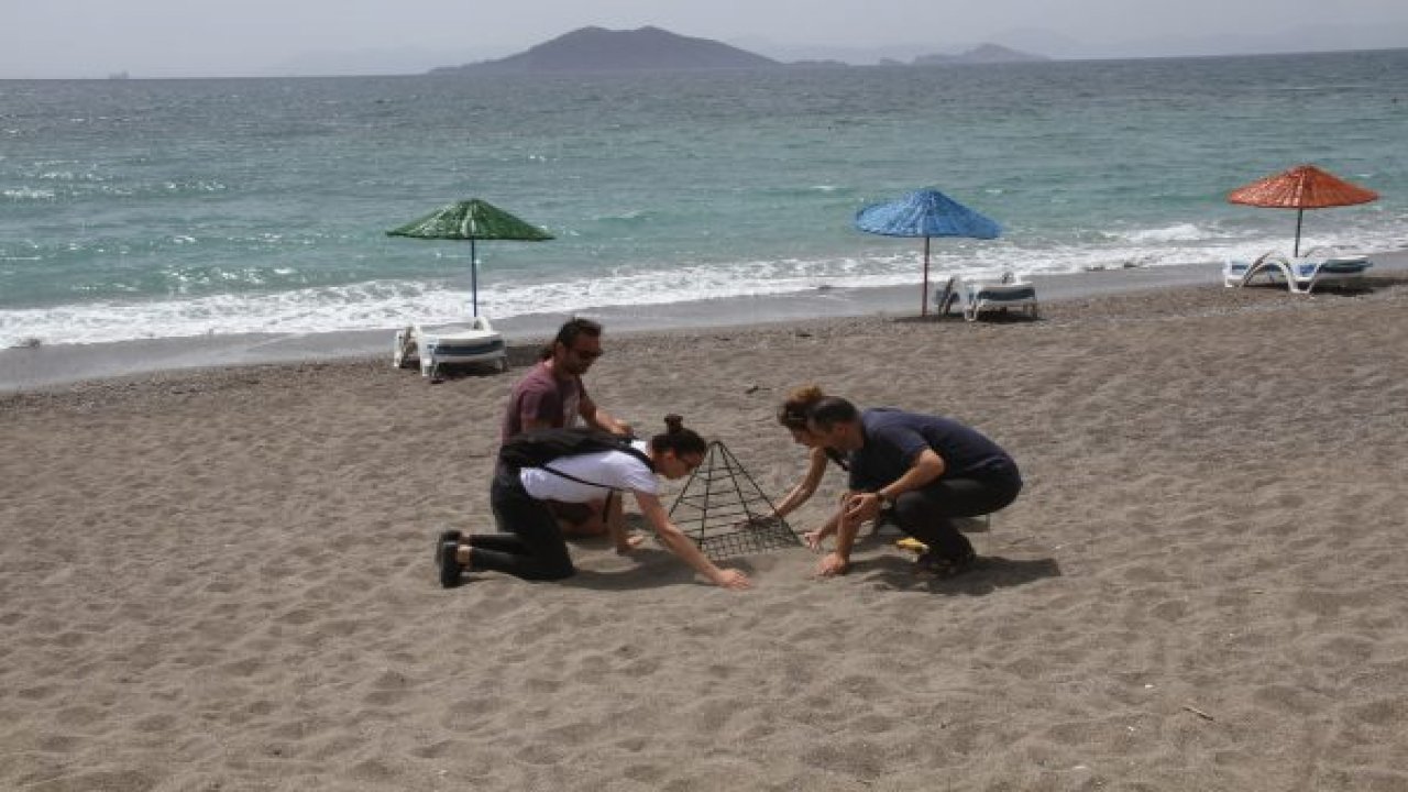 Caretta’lar erken yumurtladı