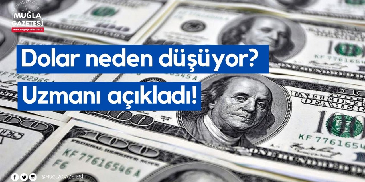 Dolar neden düşüyor? Uzmanı açıkladı!