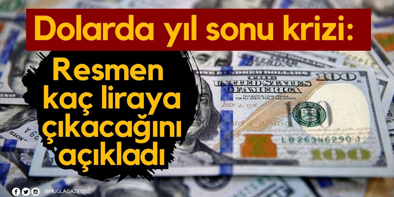 Dolarda yıl sonu krizi: Resmen kaç liraya çıkacağını açıkladı
