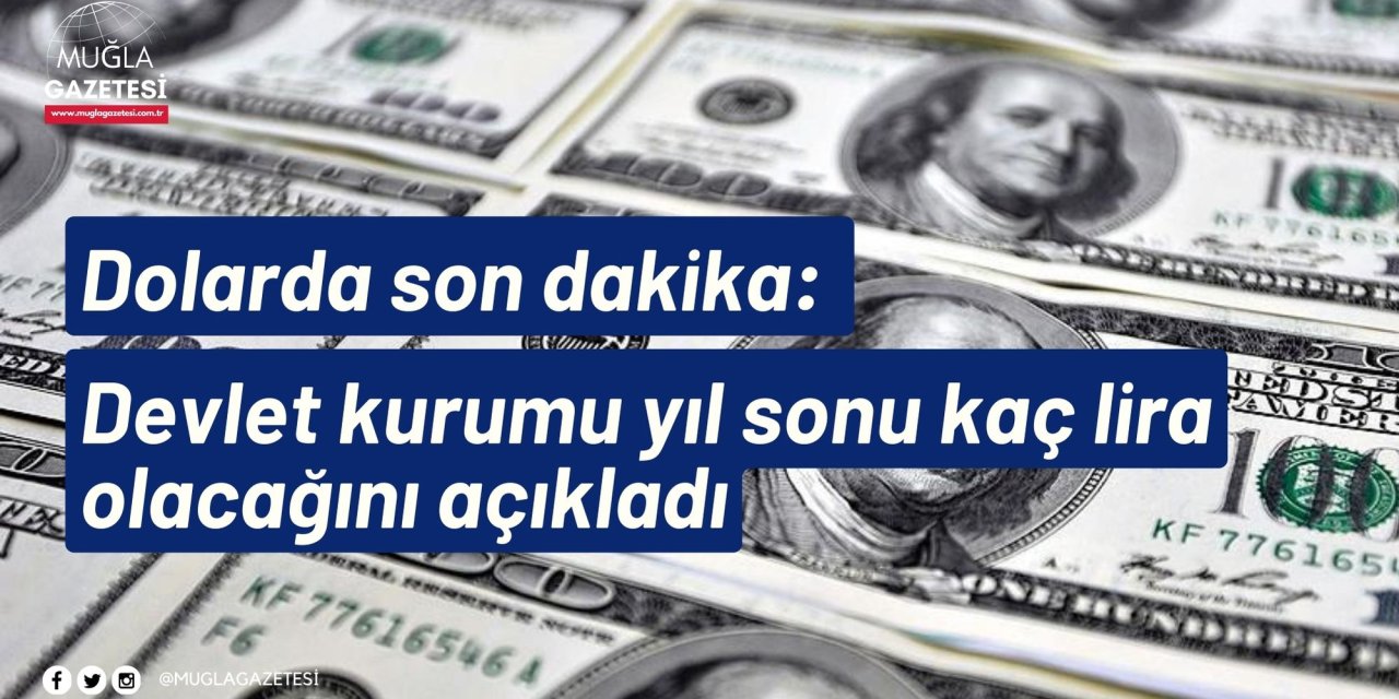Dolarda son dakika: Devlet kurumu yıl sonu kaç lira olacağını açıkladı