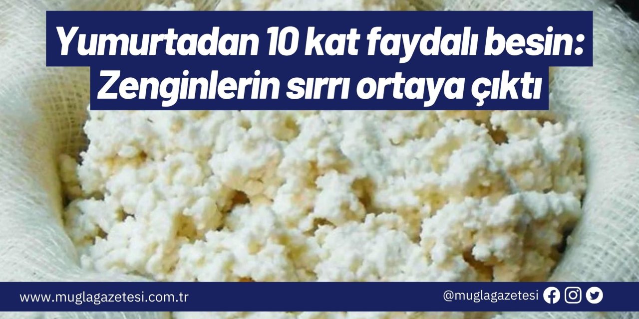 Yumurtadan 10 kat faydalı besin: Zenginlerin sırrı ortaya çıktı