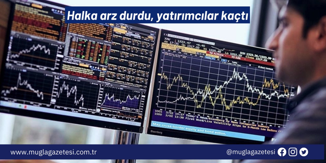 Halka arz durdu, yatırımcılar kaçtı