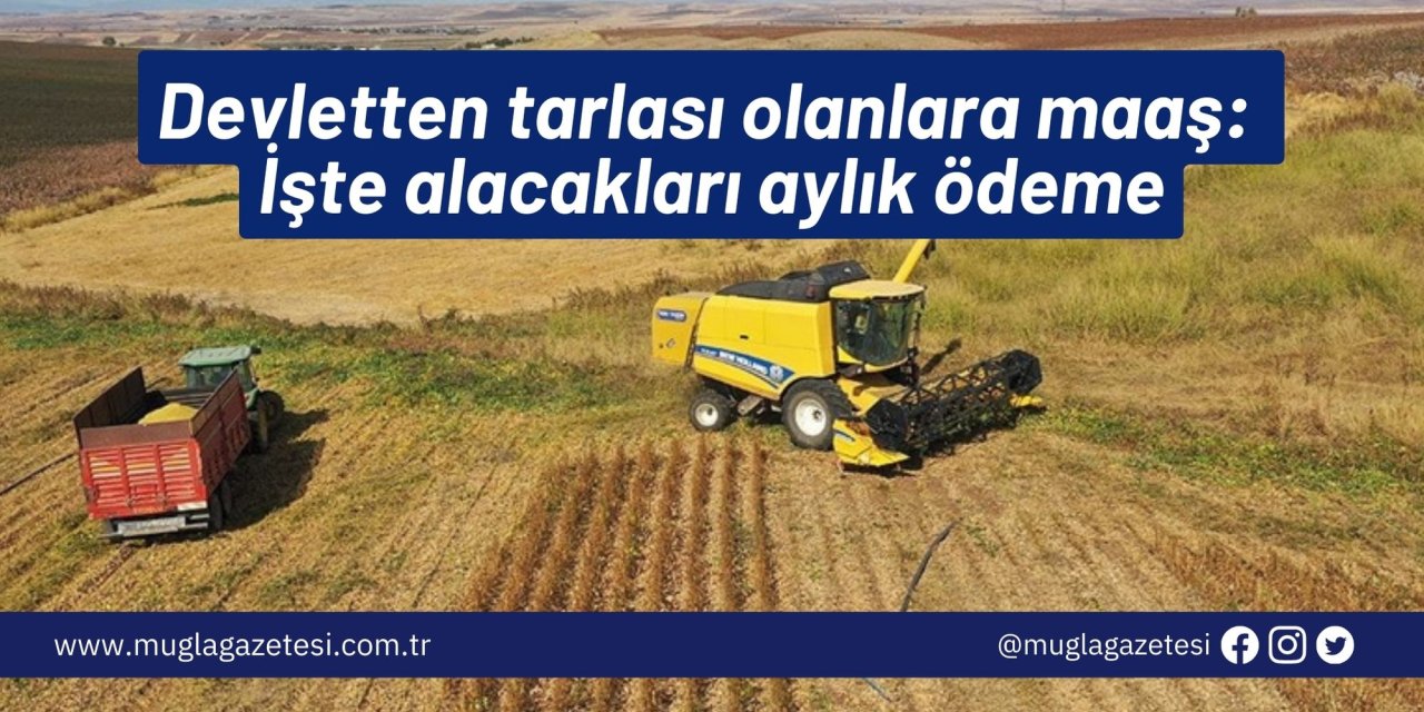 Devletten tarlası olanlara maaş: İşte alacakları aylık ödeme